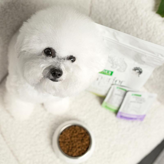 Free feeding dog breeds top